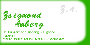 zsigmond amberg business card
